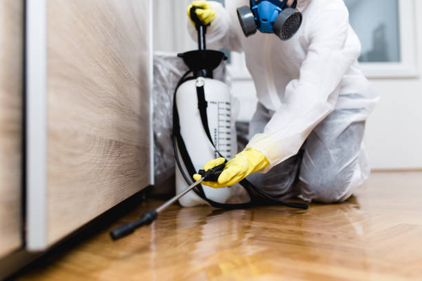 Pest Control for Restaurants in New Castle Northwest, PA