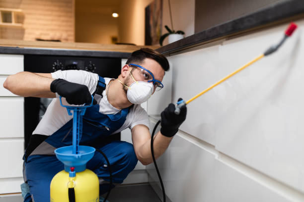 Best Local Pest Control Services  in New Castle Northwest, PA