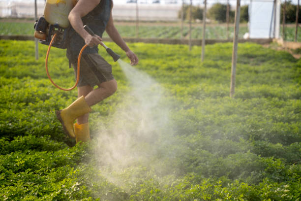 Best Commercial Pest Control Services  in New Castle Northwest, PA