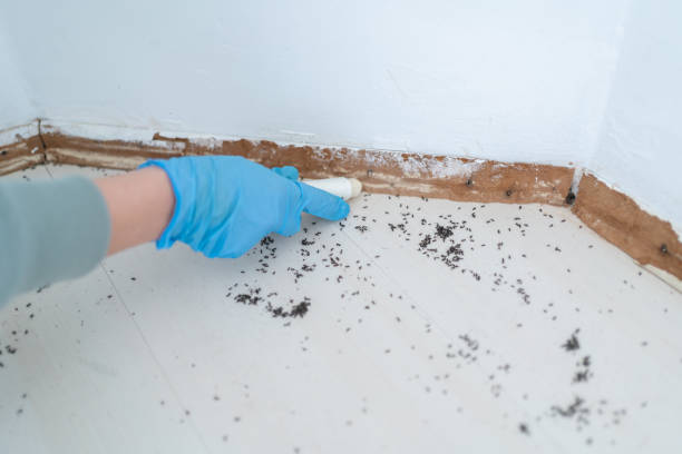 Best Pest Inspection Near Me  in New Castle Northwest, PA